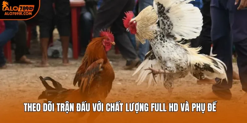 Theo dõi trận đấu với chất lượng full HD và phụ đề